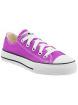 Converse Chuck Taylor Lo Top Purple Cactus Purple 339793F